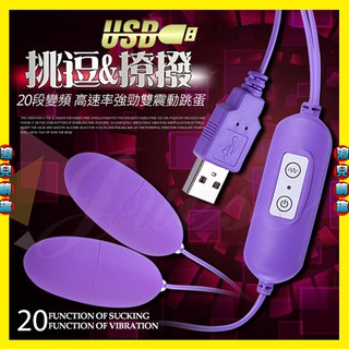 特【浪兒情趣】網愛族必備 USB 20段變頻震動磨砂雙跳蛋-紫色 (跳蛋 震動器 情趣用品 禮物)