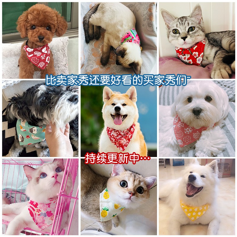 寵物狗狗口水兜圍巾三角巾貓咪裝飾圍脖大型犬可愛飾品領巾圍巾 蝦皮購物
