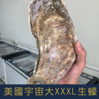 【就是愛海鮮】美國XXXL(SJ)(顆/不定重) 巨無霸生蠔 顆顆碩大肥美 清甜爆汁[量大可配合批發/團購]