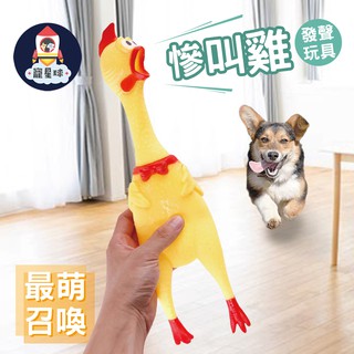 【寵星球】🐔慘叫雞發聲玩具 召喚主子不費力 尖叫雞 慘叫雞 發聲玩具 寵物磨牙 磨牙玩具 寵物玩具
