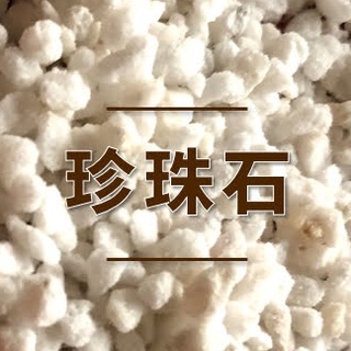 【La Forêt 植物專賣】珍珠石 / 植栽介質 / 1公升包裝