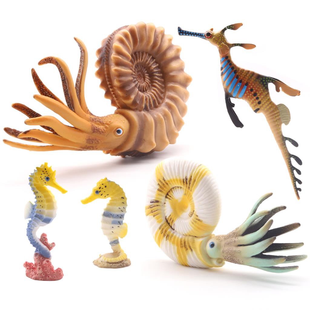 兒童仿真草海龍玩具海馬模型遠古寒武紀鸚鵡螺菊石無脊椎動物 蝦皮購物