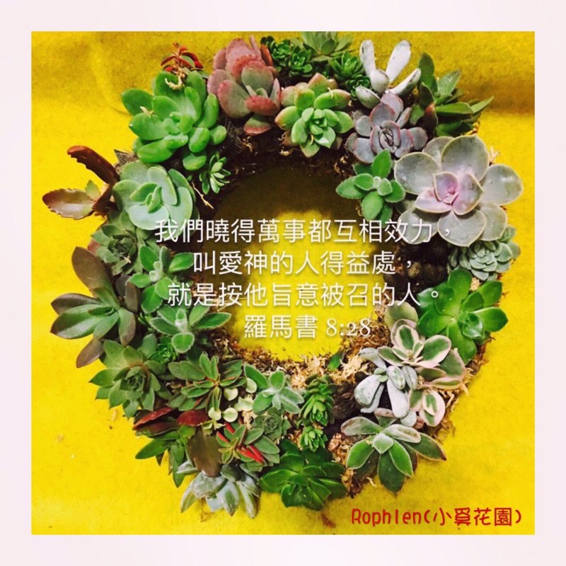 Rophlen 多肉療癒 多肉花圈課程 小 蝦皮購物