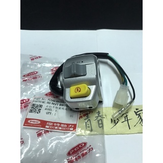 《少年家》PGO 摩特動力 原廠 JBUBU 110 115 起動開關 大燈開關 右開關 無怠速