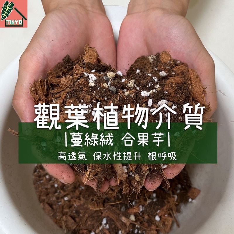 觀葉植物換盆 蔓綠絨介質/合果芋介質｜K牌蘚苔泥炭土 赤玉土 珍珠石 火山石 椰塊 雨林植物 天南星科