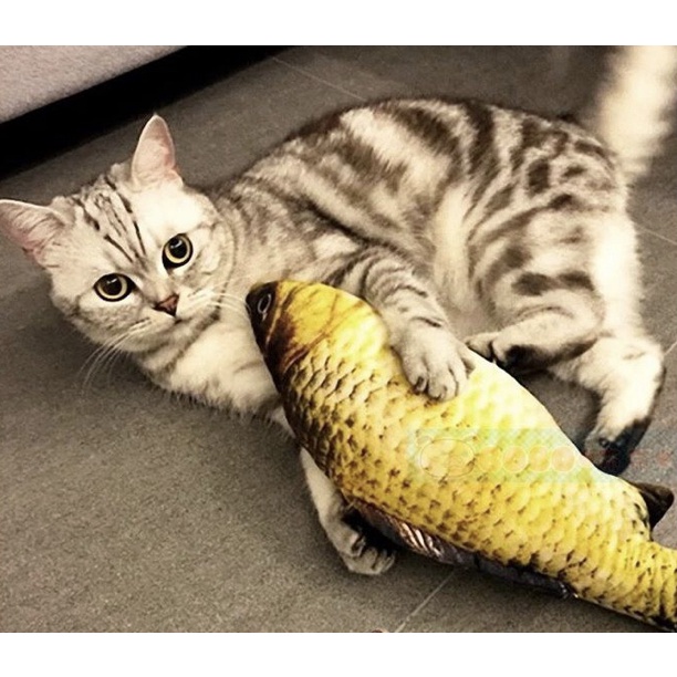 "現貨"貓抱枕  貓咪玩具 貓草魚  魚造型娃娃 仿真魚 送禮小物.