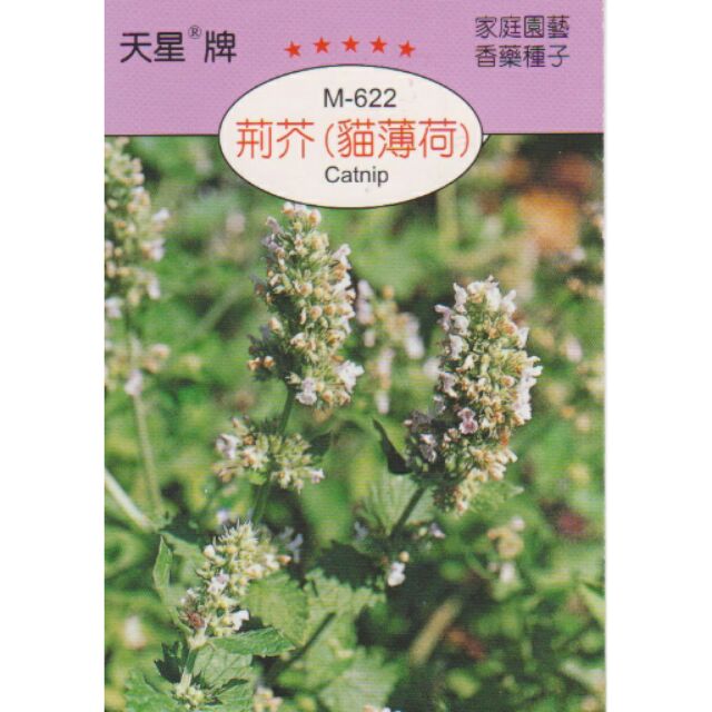 愛上種子 荊芥 貓薄荷【香藥草種子】天星牌 小包裝種子