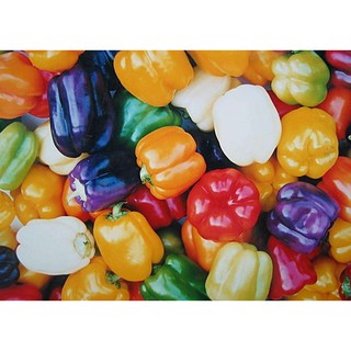 【蔬菜種子S234】彩色燈籠椒~~燈籠形甜椒果實，多色果種子混合裝，耐熱、果大、美觀、味道好、品質佳，適宜生吃。