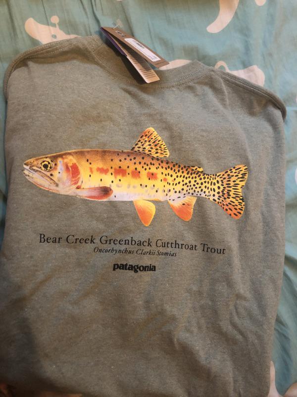 Fefe Store 現貨patagonia 魚種tee 白綠 蝦皮購物