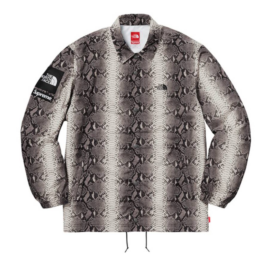 the north face hedgehog fastpack lite ii gtx