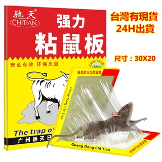 【臺灣有現貨‧24H出貨】家用超強力粘鼠板~黏鼠板~滅鼠板~驅鼠貼滅鼠~抓老鼠捕鼠器~黏老鼠膠~黏蟑螂~蟑螂貼~