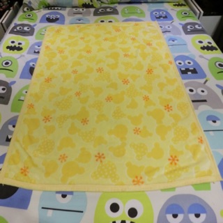日本🇯🇵超可愛 滿版 米奇 米妮 珊瑚絨 小毛毯