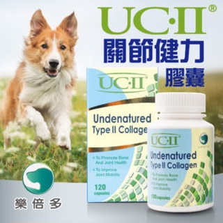 樂倍多 UCII UC-II®樂倍多關節健力膠囊 120顆