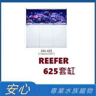 [安心水族] 需預訂 紅海 Red Sea REEFER 625 珊瑚礁岩水族套缸 魚缸 水族箱 紅海套缸 紅海缸