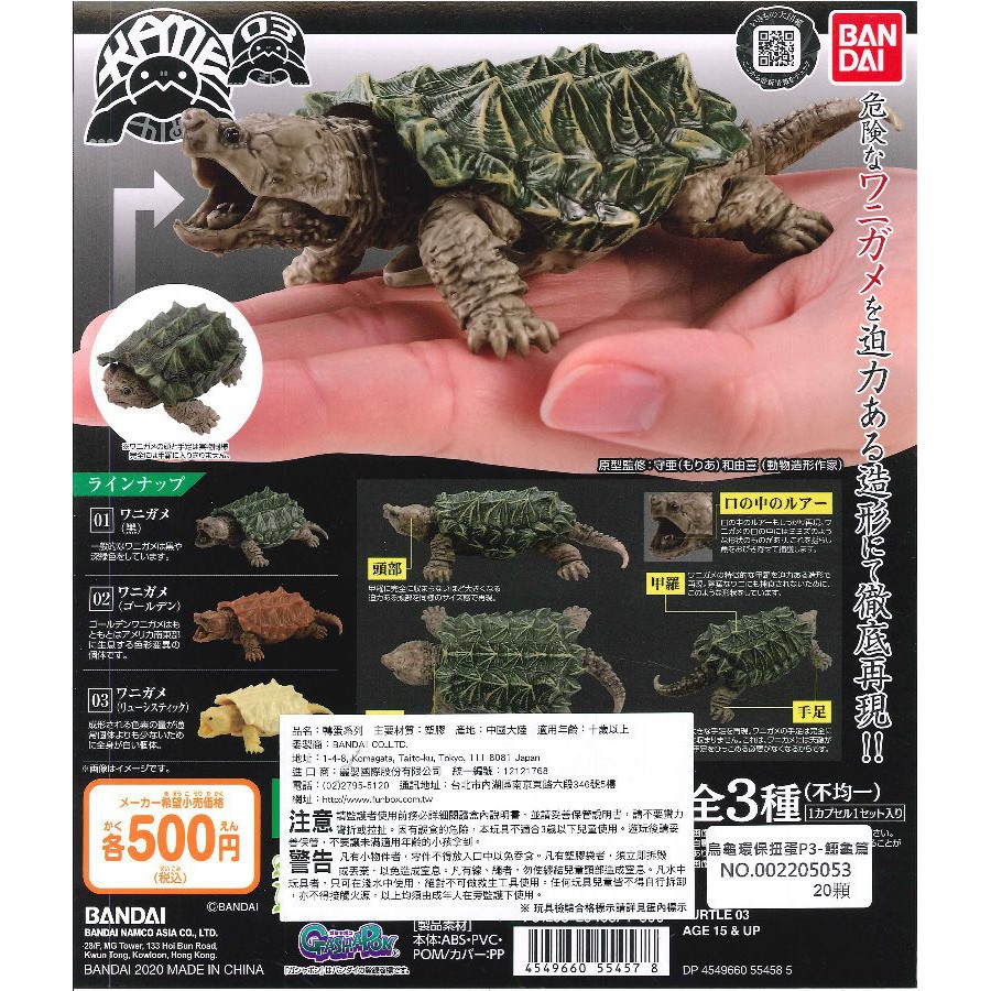 【貓轉角】『現貨』 BANDAI  烏龜環保扭蛋 P3-鱷龜篇  全三種  鱷龜