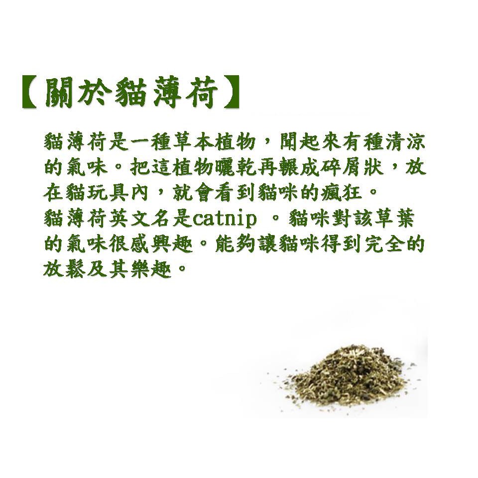 億品會 貓薄荷 30g密封袋包裝 貓草排除毛球清潔口腔貓咪薄荷草粉促进消化貓草 蝦皮購物
