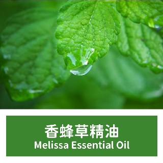 【馥靖精油】香蜂草精油 Melissa Essential Oil 100%純精油