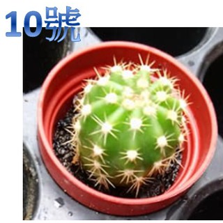 第2頁三丸盆的價格 比價撿便宜