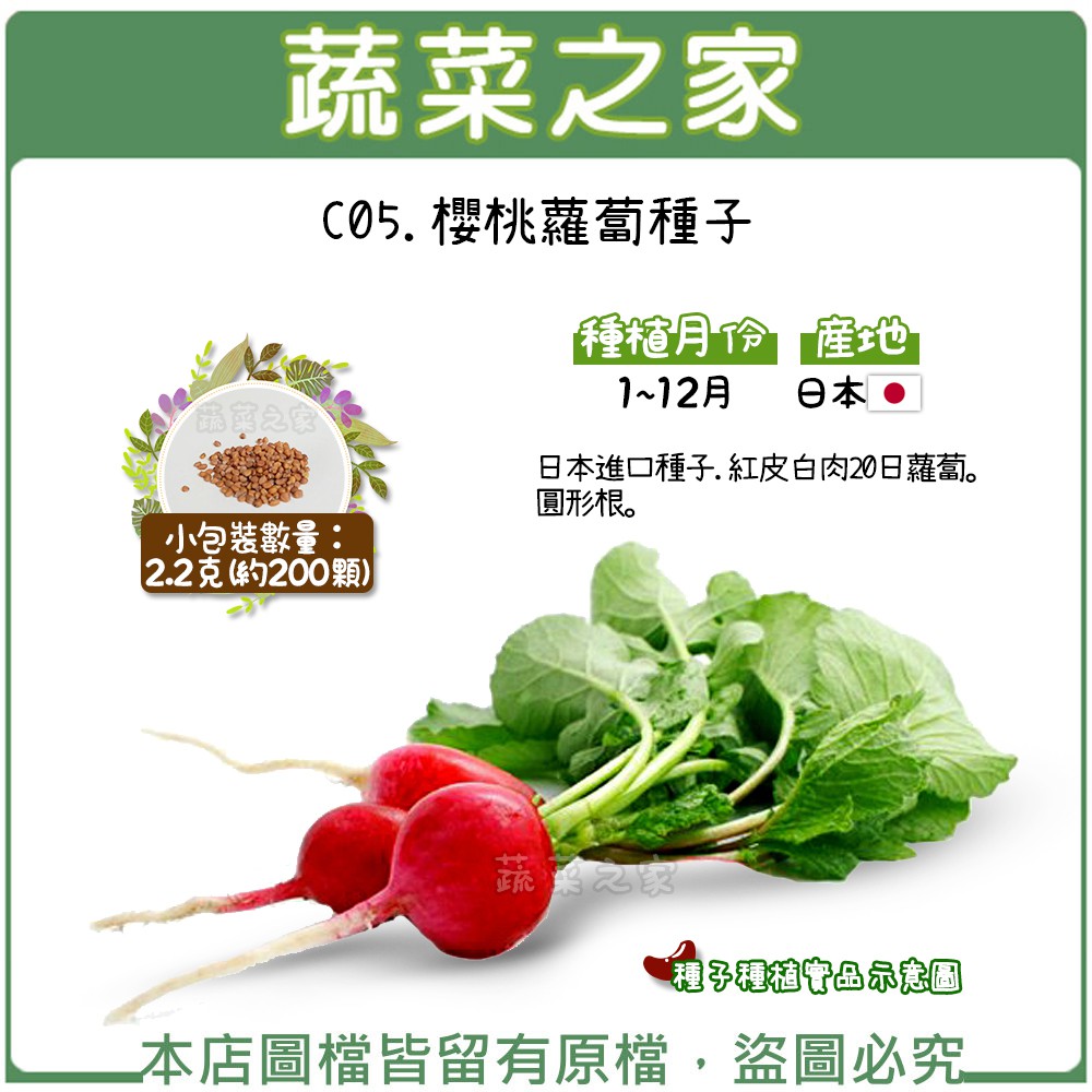 菜頭種子 優惠推薦 21年7月 蝦皮購物台灣