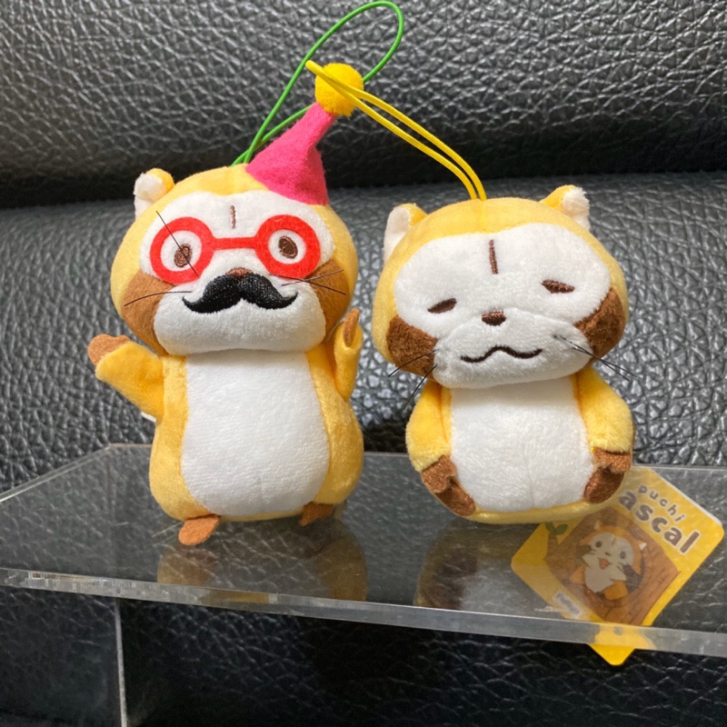 日本正版景品/日空版/小浣熊娃娃/小浣熊吊飾/日本小浣熊娃娃