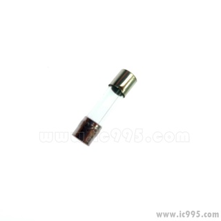 ic995 - 玻璃保險管 保險絲 FUSE F2AL250V 250V 2A 5x20mm 4入 #4174