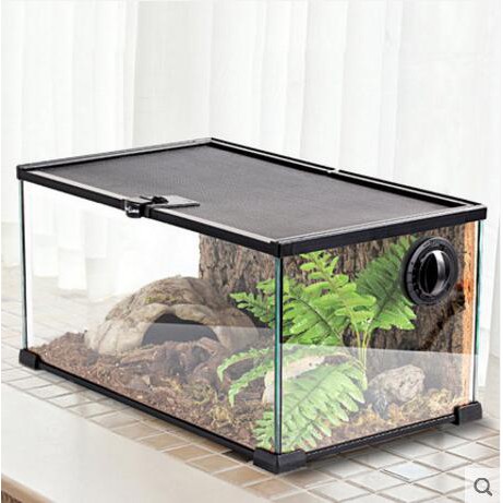 Reptizoo龜箱陸龜蜥蜴蛇守宮爬寵爬蟲爬箱寵物玻璃角蛙飼養箱鬃獅 蝦皮購物