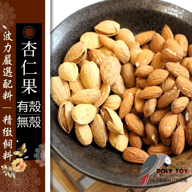 杏仁 杏仁果(有殼)(無殼) 600g/300g/100g 堅果系列 波力鸚鵡二館 F0004