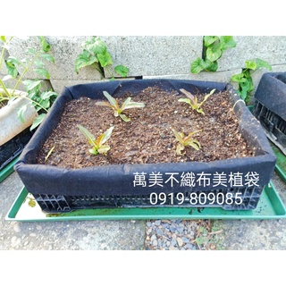 萬美工廠直營-園藝資材-不織布種菜籃(不織布套袋+黑色塑膠籃)