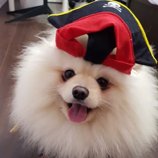 奈久 優惠推薦 21年9月 蝦皮購物台灣