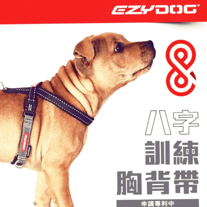 Ezydog8最新八字訓練胸背帶