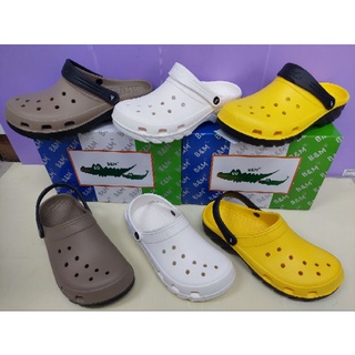 🎉現貨新款🎉母子鱷魚 水陸雙色～洞洞布希鞋 防水鞋 台灣製造