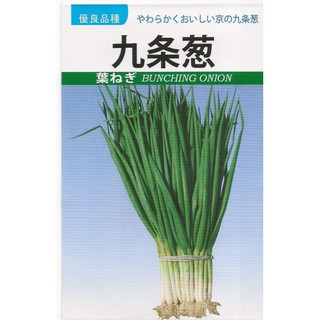 大包裝蔬菜種子l005 九条蔥 四季蔥 葉子呈濃綠色 粗莖 葉子柔軟食味佳 口感柔嫩 香氣濃郁 蝦皮購物