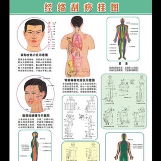 面部刮痧身體刮痧經絡圖刮痧保健掛圖經絡養生（簡體字）