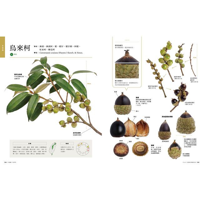 全新 臺灣橡實家族圖鑑 45種殼斗科植物完整寫真 麥浩斯 定價 1500 蝦皮購物