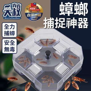 【臺灣現貨】蟑螂屋 蟑螂捕捉器 滅蟑 蟑螂誘捕器 防治蟑螂 蟑螂捕抓器 捕蟑器 蟑螂剋星 蟑螂藥 蟑螂盒 殺蟑