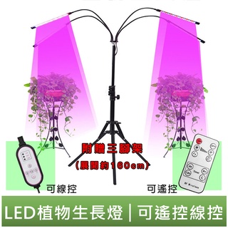 LED植物生長燈 植物燈 三腳架植物燈 落地摺疊式 全光譜 可遙控 線控 多肉燈 可調光植物燈 四頭圓管 360度萬向夾