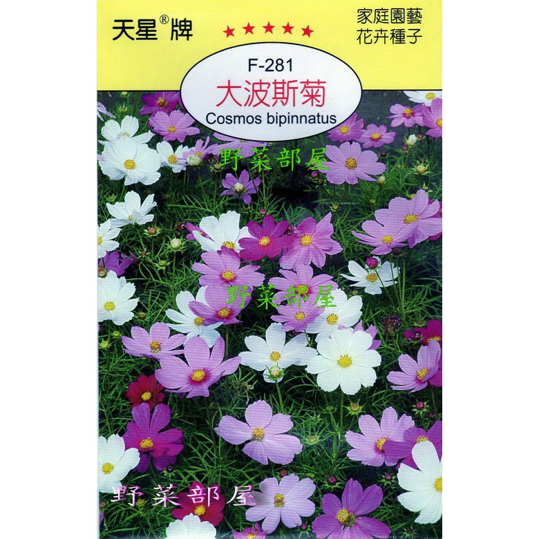 【萌田種子~花卉種子】Y21 大波斯菊Cosmos bipinnatus~穗耕種苗~天星牌種子~波斯菊種子每包17元~