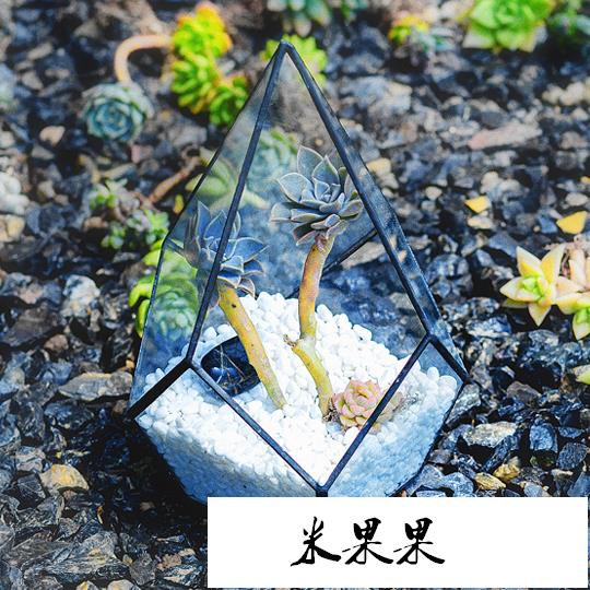 米果果多肉植物玻璃花房微景觀立體菱形玻璃花房 蝦皮購物