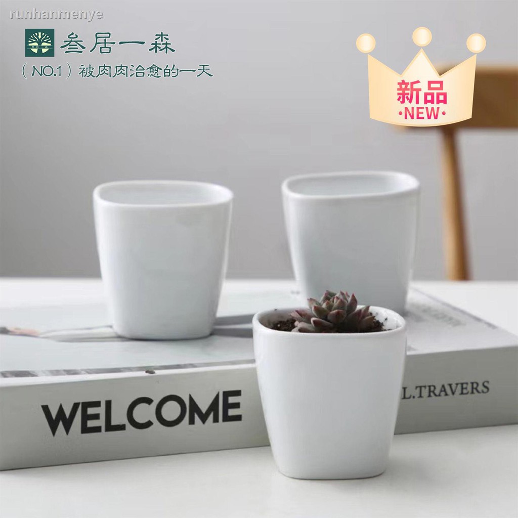 多肉容器 優惠推薦 21年7月 蝦皮購物台灣