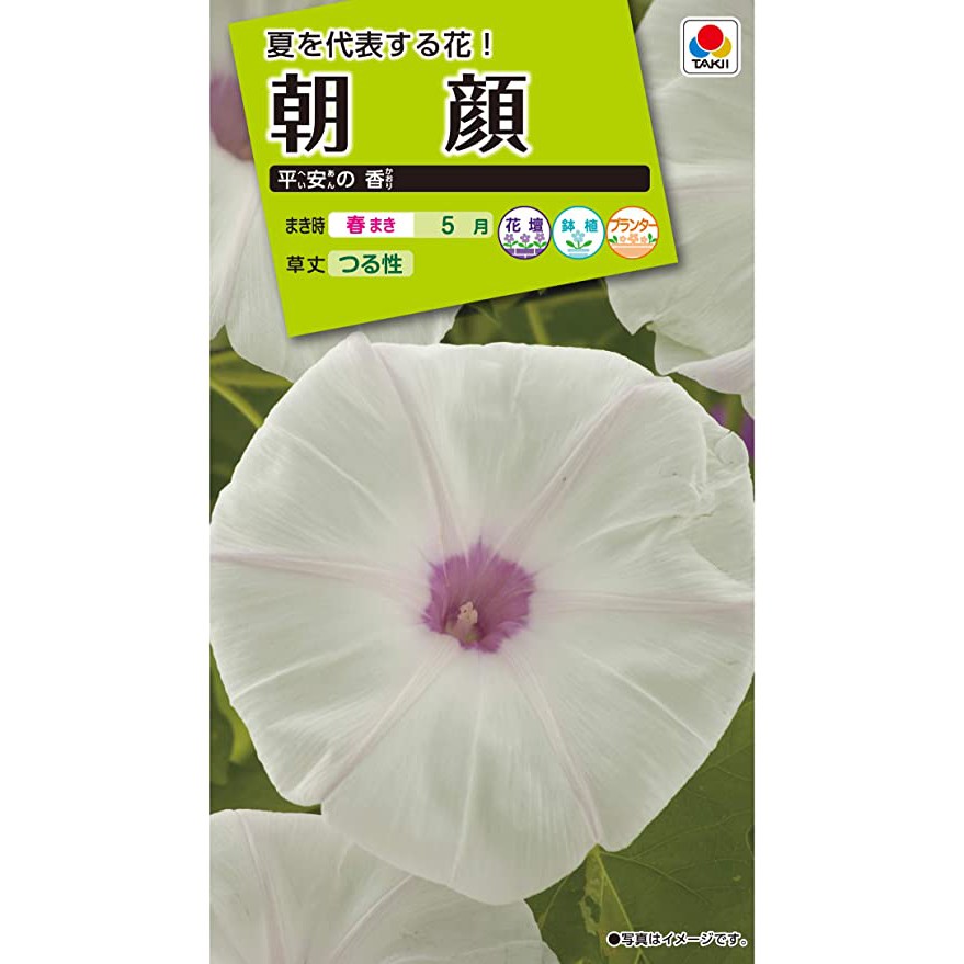 高仿錶超低價 25款 牽牛花種子 爬藤垂吊牽牛花種子 50粒裝 I Ads Keyword 優惠推薦 21年10月 蝦皮購物台灣