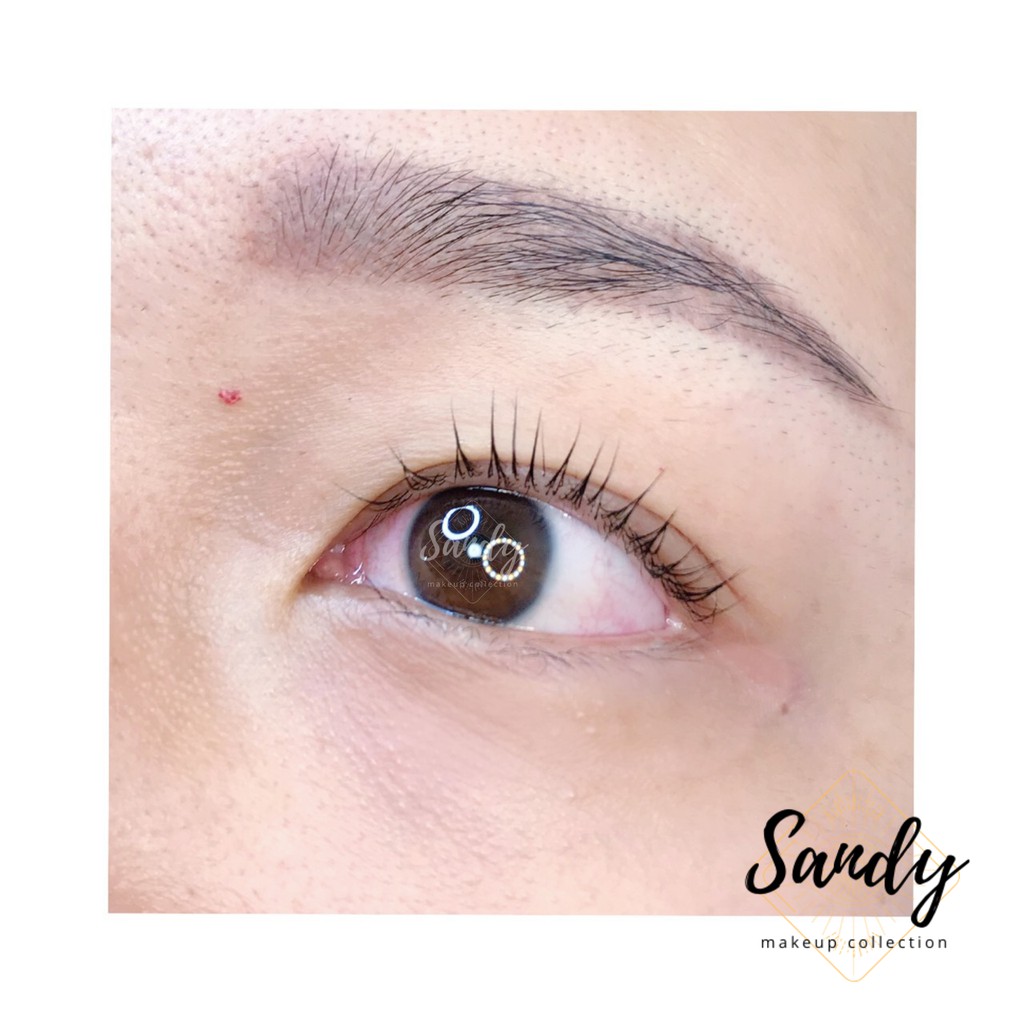 角蛋白美睫 台中 中友百貨 到府服務 Sandy Makeup Colleciton 蝦皮購物