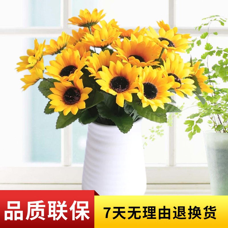 向日葵單支花束 優惠價格與網購推薦商品 21年7月 飛比價格