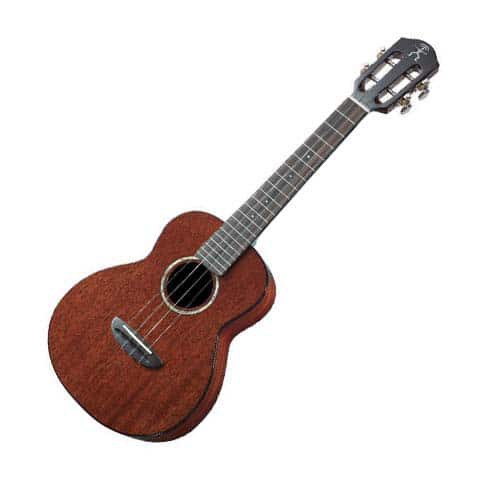 |鴻韻樂器|aNueNue 23吋烏克麗麗 UKULELE AMM2 AMM2E 全單板 桃花心木