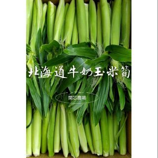 🔥北海道牛奶水果玉米筍💯產地新鮮直送💯水果玉米筍💯有機玉米筍💯超甜玉米筍