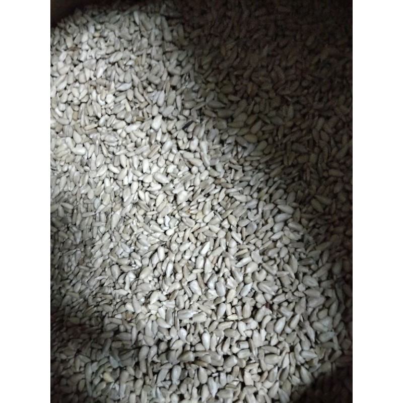 葵花子仁 優惠推薦 21年7月 蝦皮購物台灣