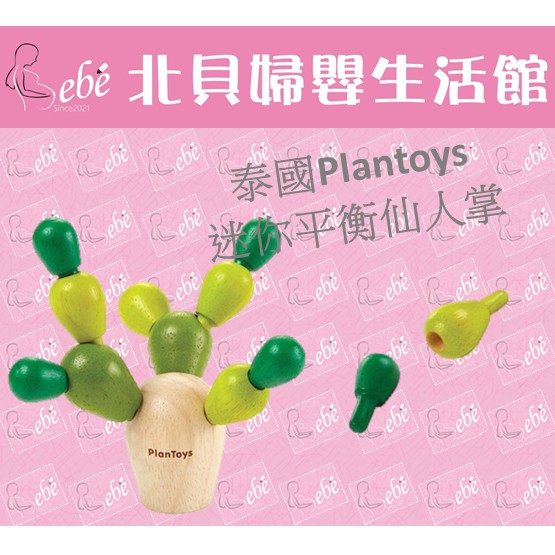 【現貨】泰國Plantoys 迷你平衡仙人掌