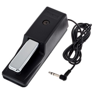 Roland DP-10 樂蘭 通用型延音踏板 電子琴 電鋼琴 DP10【蜂鳥樂器】