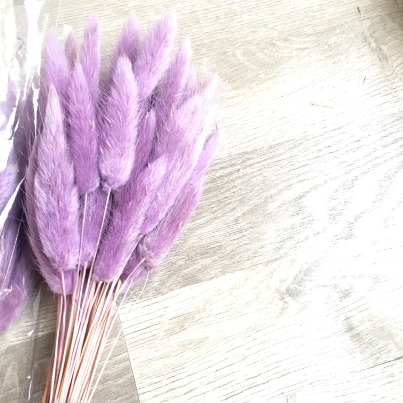 特惠中 *歐洲進口* 紫色兔尾草 10支 兔尾草 乾燥花 乾燥花束