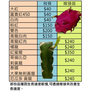 青龍白肉 優惠推薦 21年11月 蝦皮購物台灣