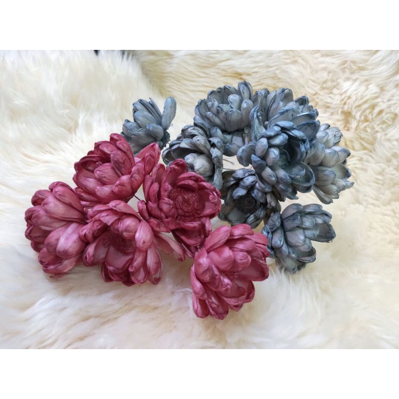 乾燥花材料 染色大理菊索拉花乾燥花索拉花大理菊染色花手作乾燥花 蝦皮購物